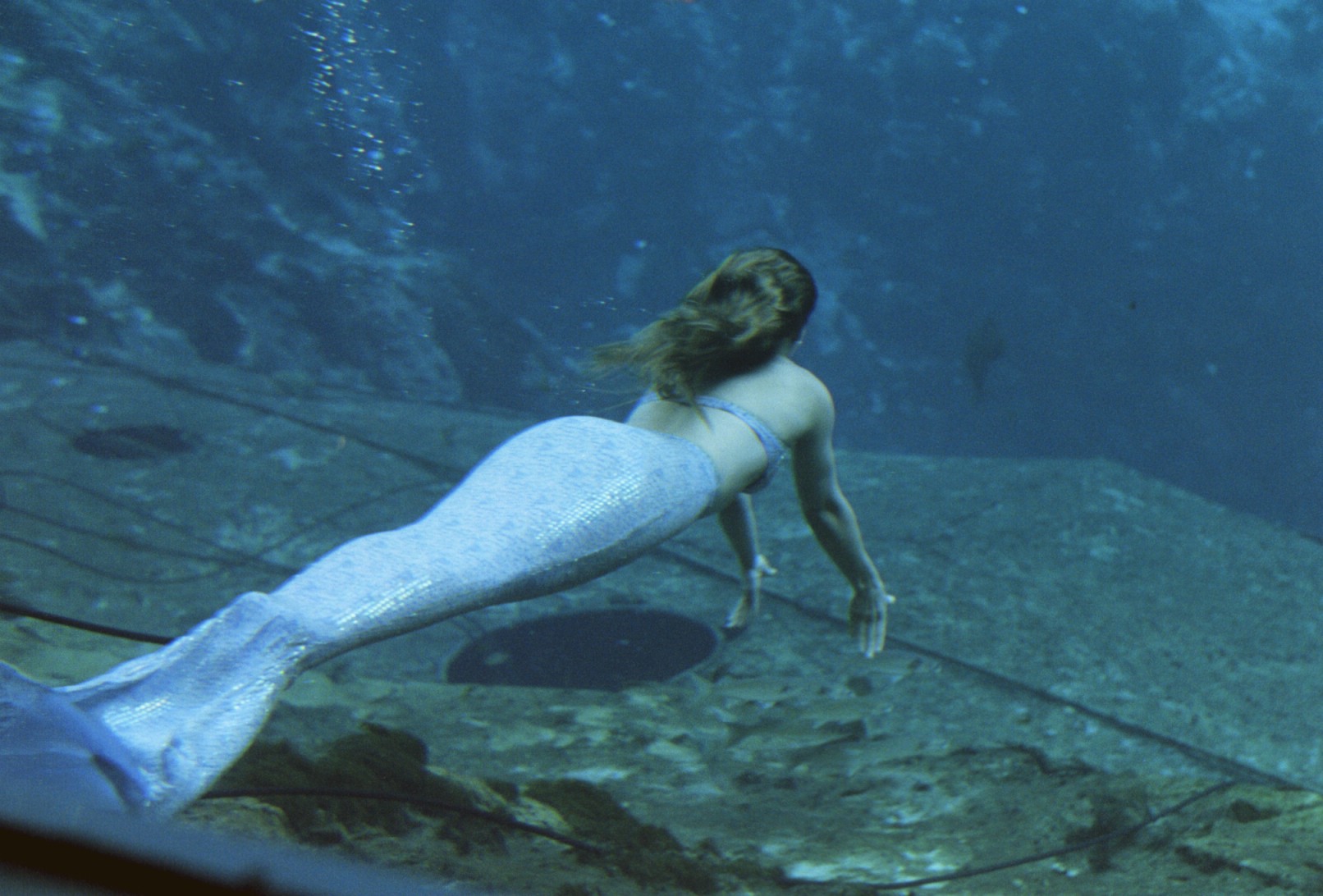 Mermaid Hot