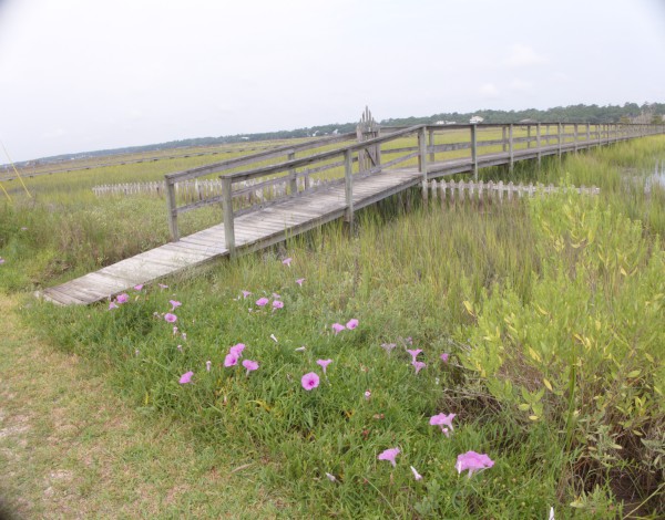 Pawleys Island 2016 Wall Calendar