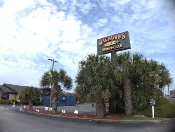 p2030765_tn.jpg