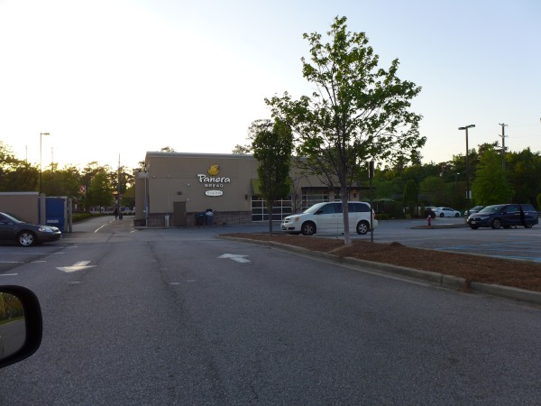 p2040376_tn.jpg