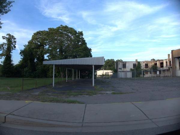 p2040796_tn.jpg