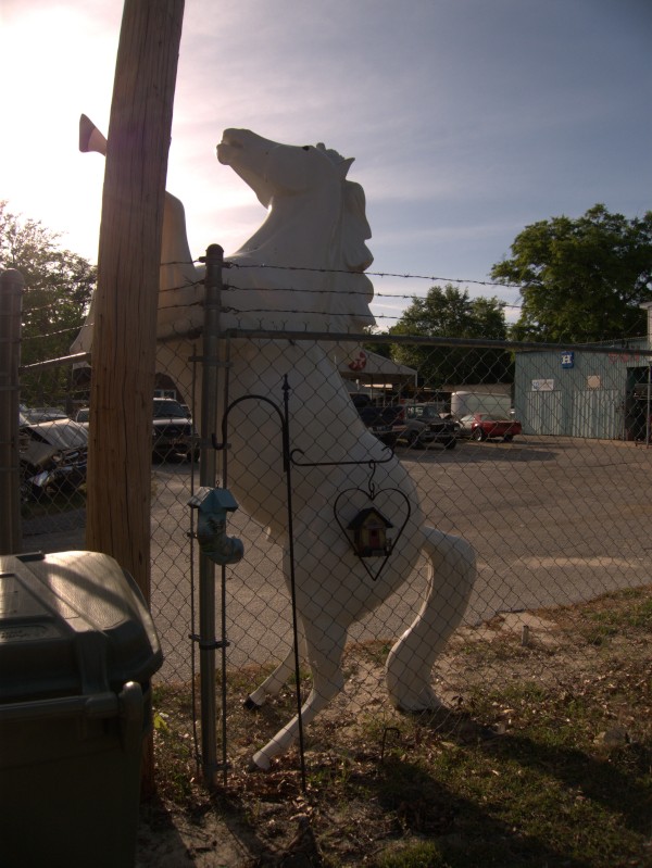 p1110157_tn.jpg