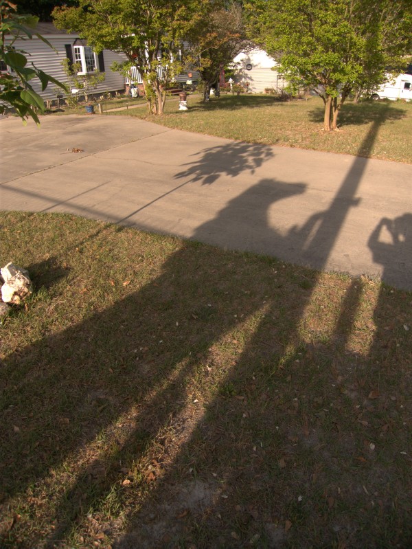 p1110158_tn.jpg