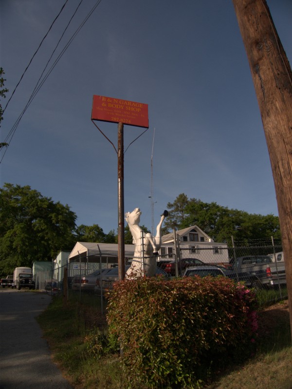 p1110167_tn.jpg