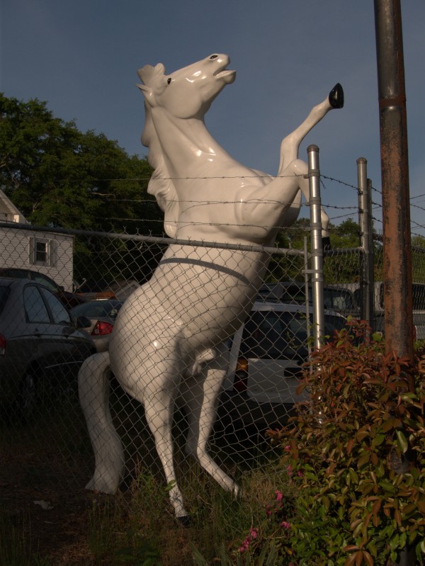 p1110169_tn.jpg