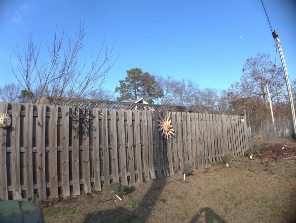 p2030217_tn.jpg