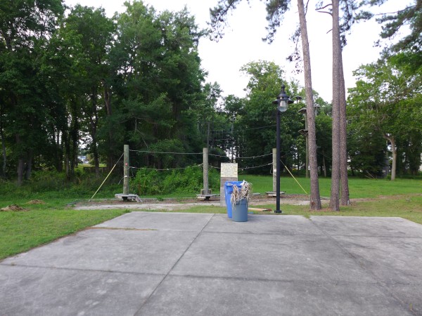 p2040986_tn.jpg