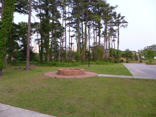 p2040987_tn.jpg