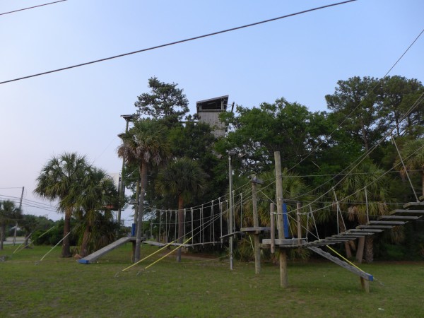 p2040999_tn.jpg