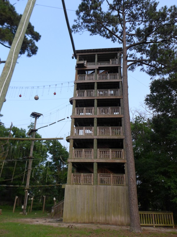 p2050007_tn.jpg