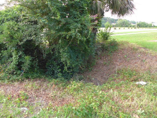 p2050009_tn.jpg