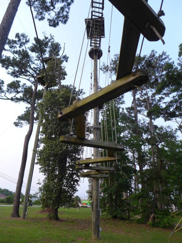 p2050019_tn.jpg