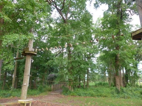 p2050021_tn.jpg