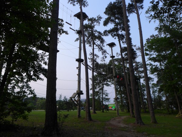 p2050022_tn.jpg
