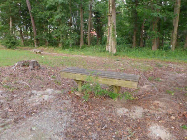 p2050023_tn.jpg