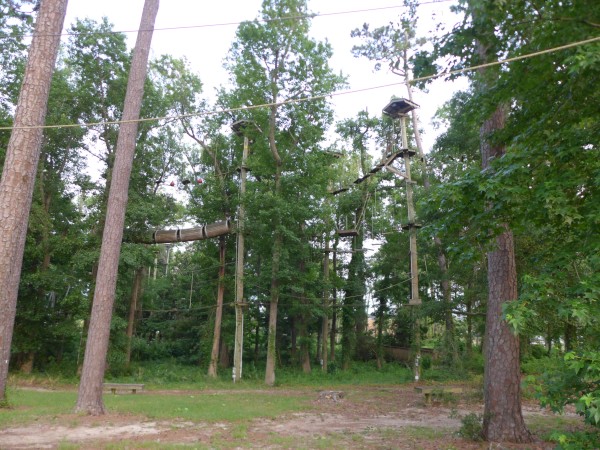 p2050025_tn.jpg