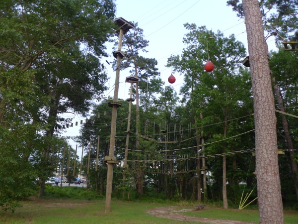 p2050026_tn.jpg