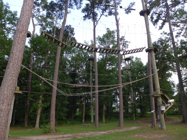 p2050027_tn.jpg