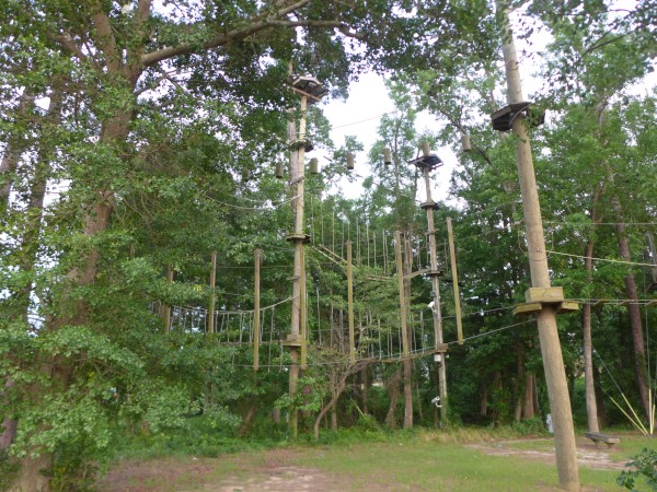 p2050029_tn.jpg
