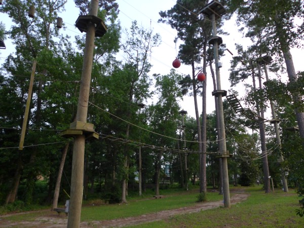 p2050030_tn.jpg