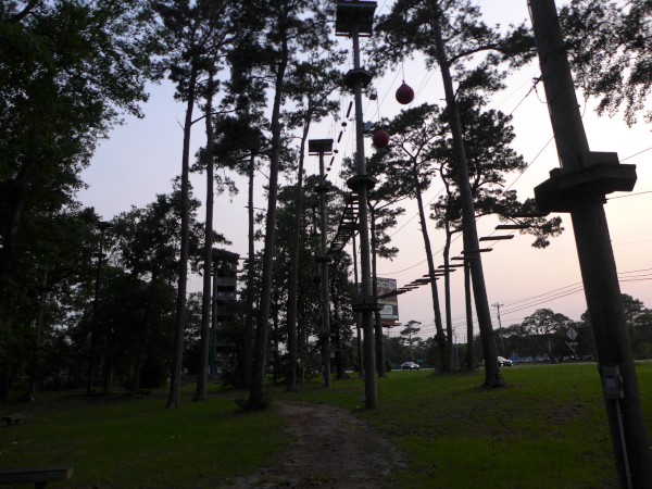 p2050033_tn.jpg