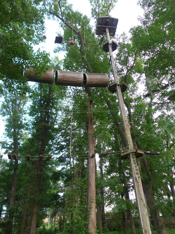 p2050036_tn.jpg