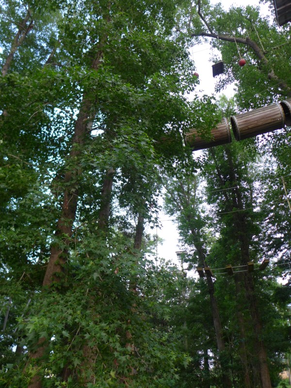 p2050037_tn.jpg