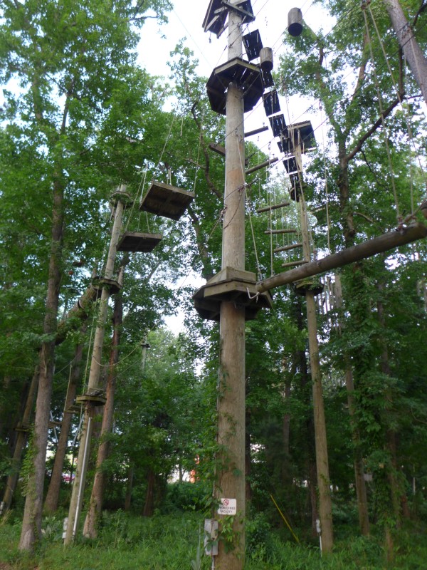 p2050040_tn.jpg