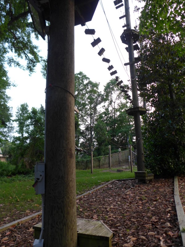 p2050042_tn.jpg