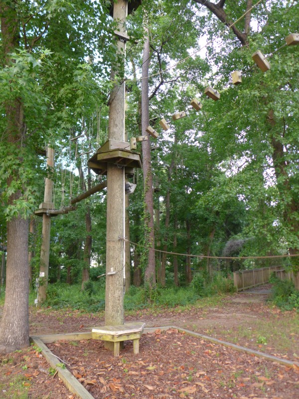 p2050044_tn.jpg