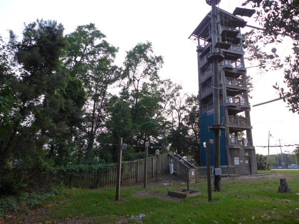 p2050046_tn.jpg