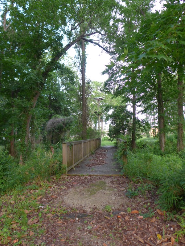 p2050047_tn.jpg