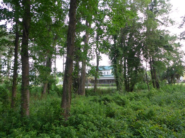 p2050048_tn.jpg