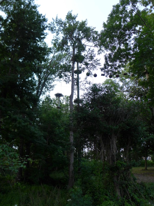 p2050049_tn.jpg