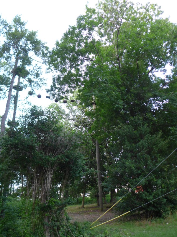 p2050050_tn.jpg