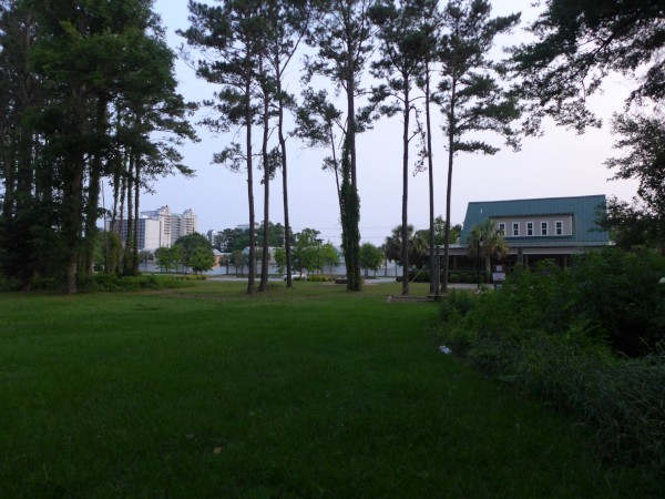 p2050051_tn.jpg