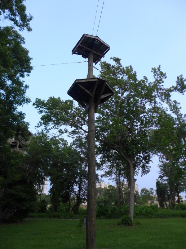p2050053_tn.jpg