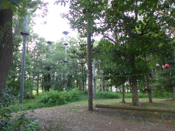 p2050054_tn.jpg