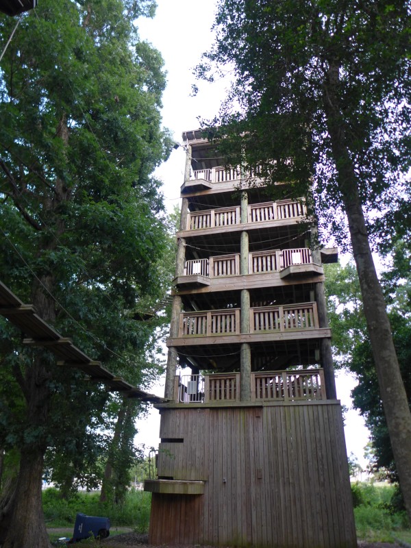 p2050058_tn.jpg