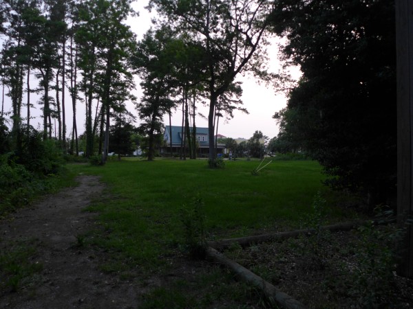p2050061_tn.jpg