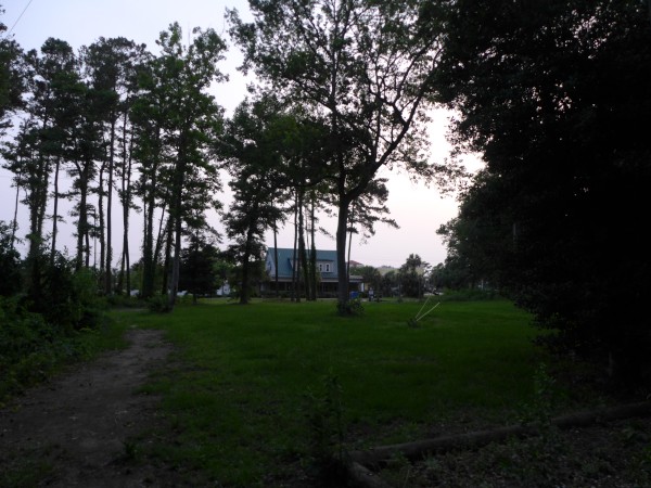 p2050062_tn.jpg