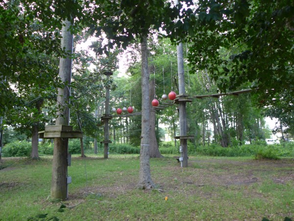 p2050064_tn.jpg