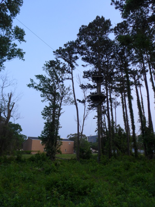 p2050065_tn.jpg
