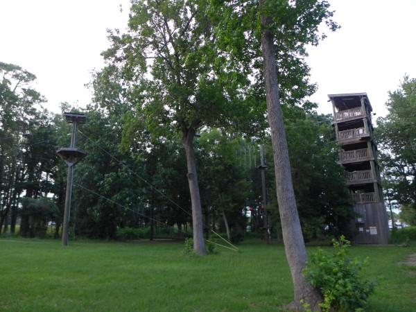 p2050066_tn.jpg