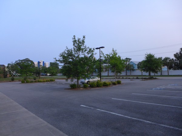 p2050069_tn.jpg