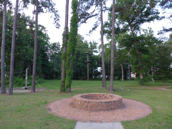 p2050070_tn.jpg