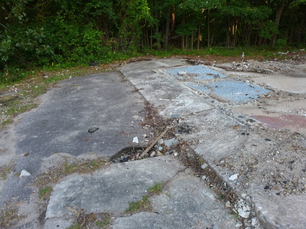 p2050229_tn.jpg