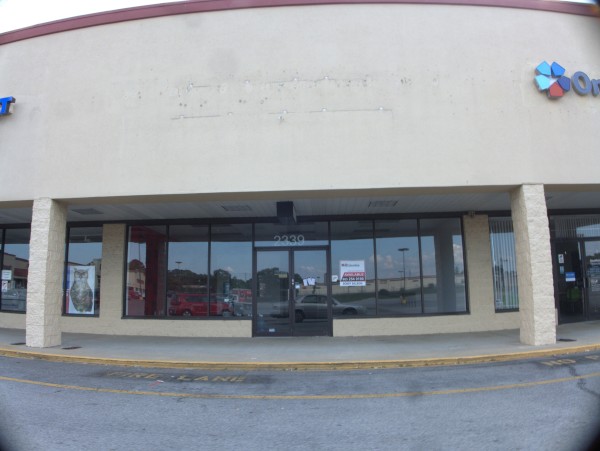 p2050393_tn.jpg