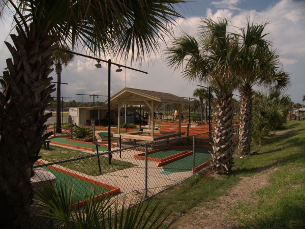 p1150538_tn.jpg