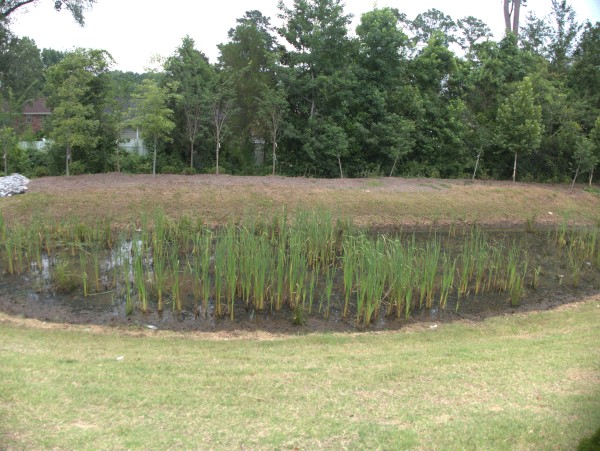 p2060083_tn.jpg